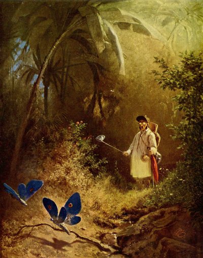 The Butterfly Hunter by Carl Spitzweg